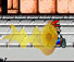 Mario Kart Xtreme